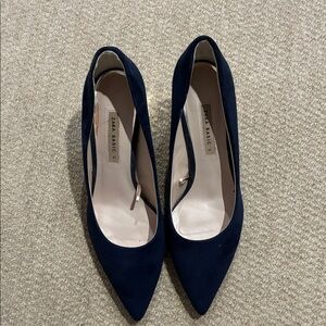 Zara Navy Pointed Toe Pumps